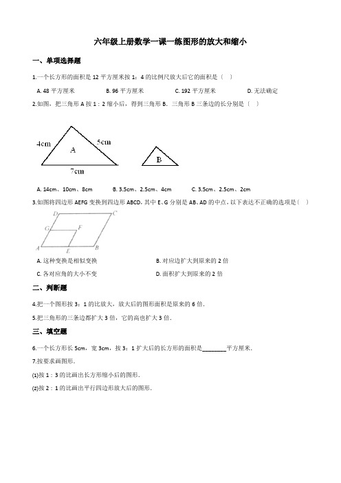 2022年六年级上册数学同步练习 5 1图形的放大和缩小 西师大版(含答案) (1)