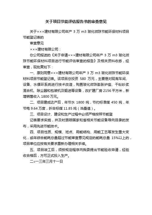 关于项目节能评估报告书的审查意见