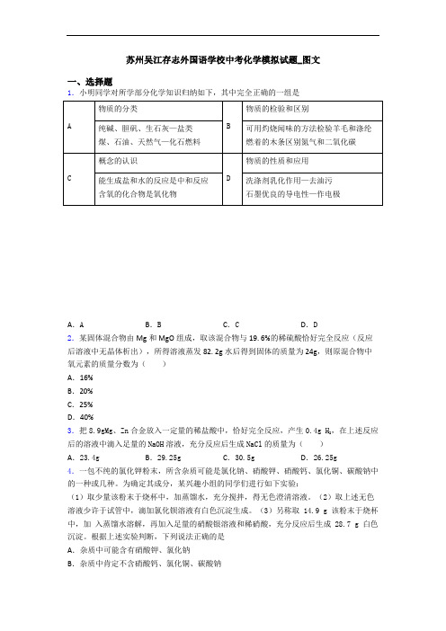 苏州吴江存志外国语学校中考化学模拟试题_图文