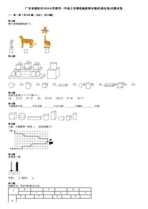 广东省揭阳市2024小学数学一年级上学期统编版期末测试(强化卷)完整试卷