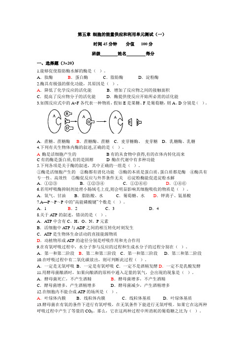 高一生物单元测试 _第五章 细胞的能量供应和利用(一)(新人教版)