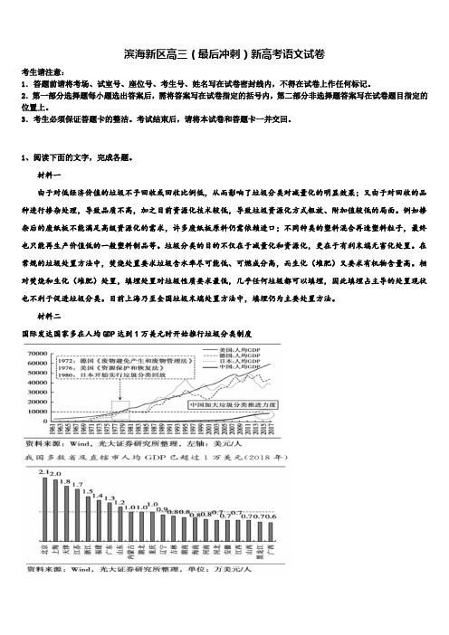 滨海新区高三(最后冲刺)新高考语文试卷及答案解析