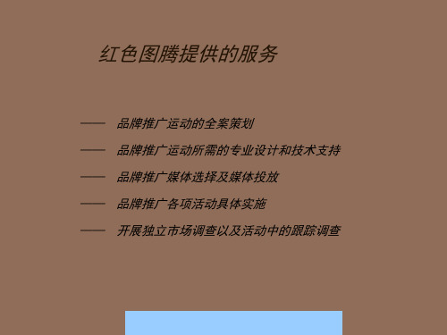 显示器某广告策略建议书