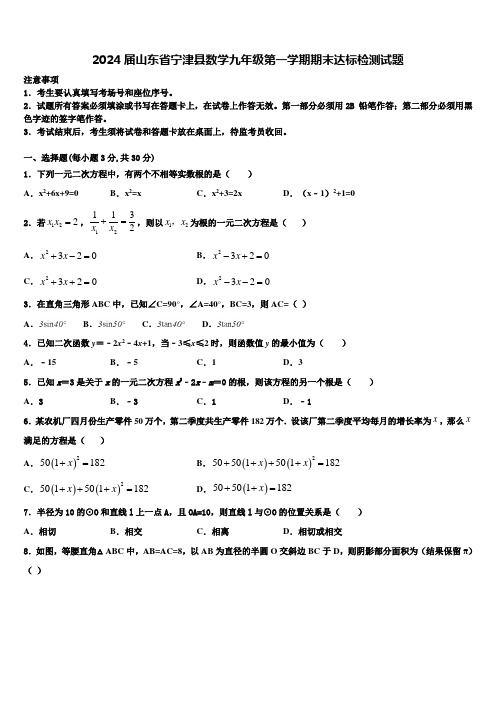 2024届山东省宁津县数学九年级第一学期期末达标检测试题含解析