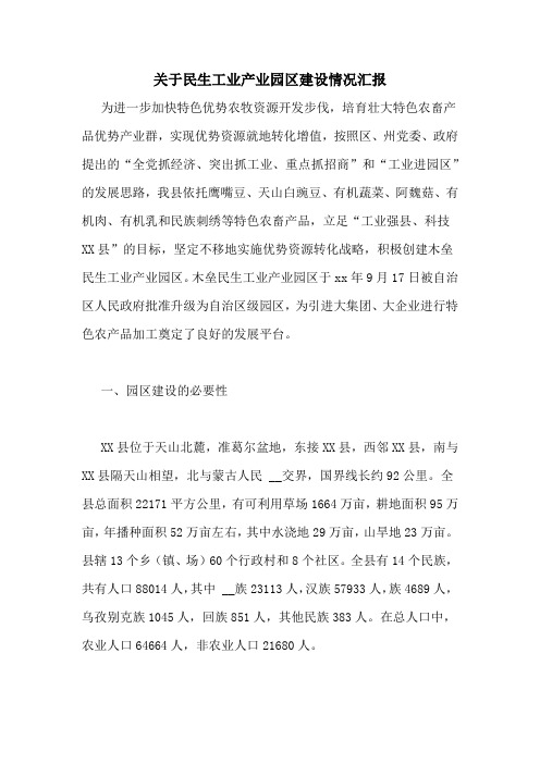 关于民生工业产业园区建设情况汇报