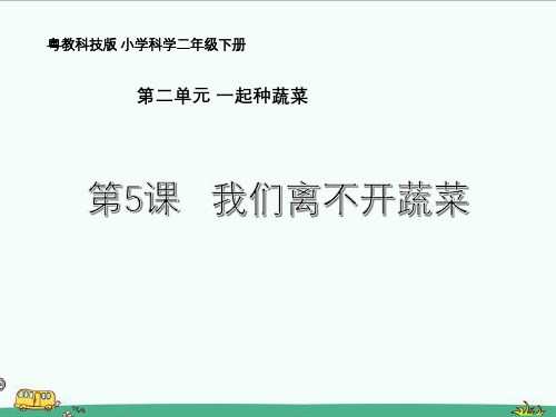 粤教版二年级下册科学课件《5 我们离不开蔬菜》课件