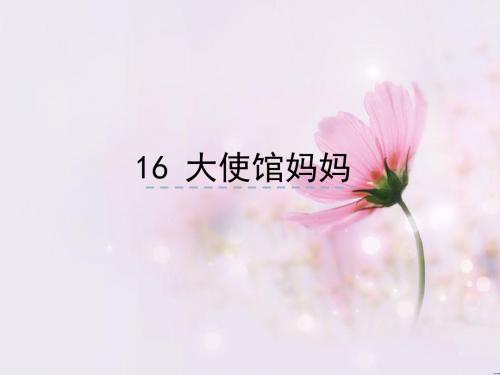 《大使馆妈妈》ppt课件(18页)