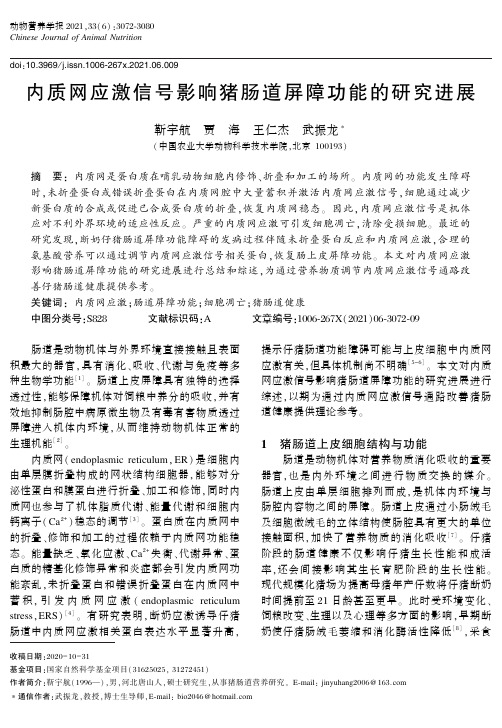 内质网应激信号影响猪肠道屏障功能的研究进展