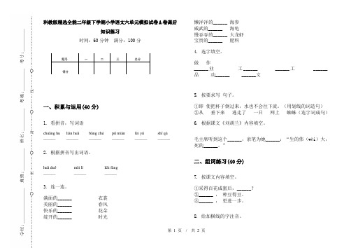 科教版精选全能二年级下学期小学语文六单元模拟试卷A卷课后知识练习