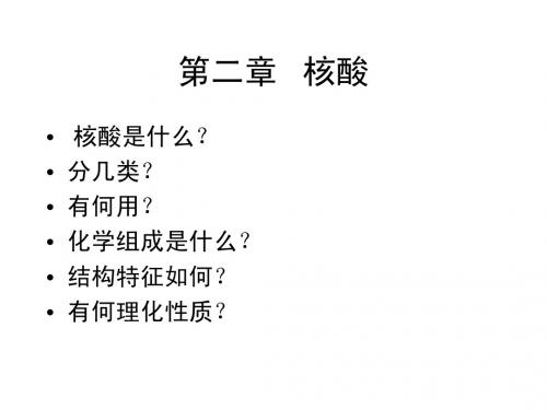 生化第二章核酸