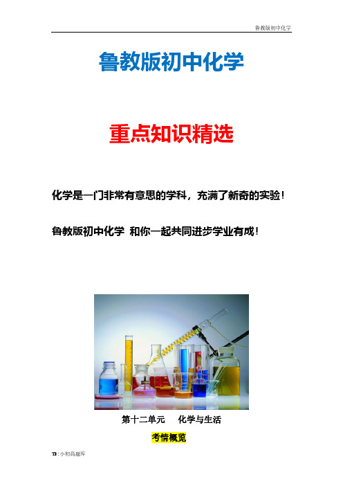 新版九年级中考化学冲刺含解析复习12.第十二单元模拟题