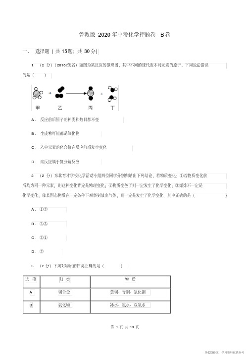 (精品文档)鲁教版2020年中考化学押题卷B卷