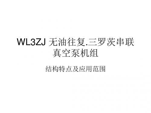 WL3ZJ 无油往复