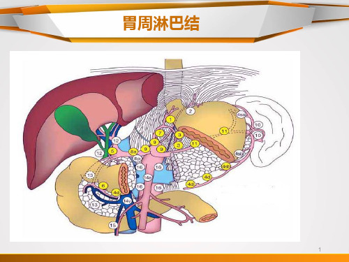 胃癌淋巴结分组ppt课件