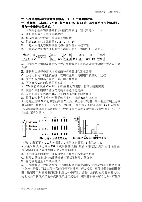 河北省衡水中学2015-2016学年下学期高三(下)二调生物试卷(解析版)