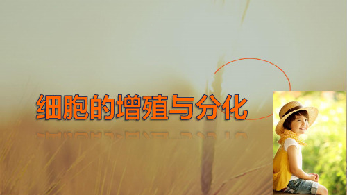 2018生物浙科版必修1课件:第四章 22 细胞的增殖二