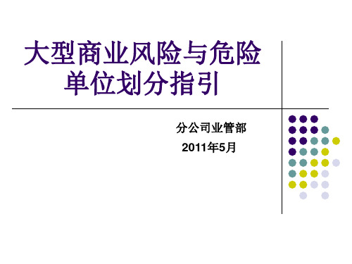 大型商业风险和危险单位划分