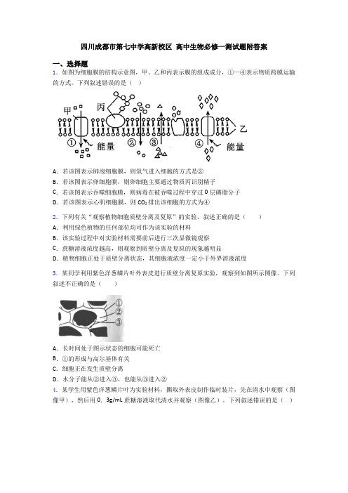 四川成都市第七中学高新校区 高中生物必修一测试题附答案