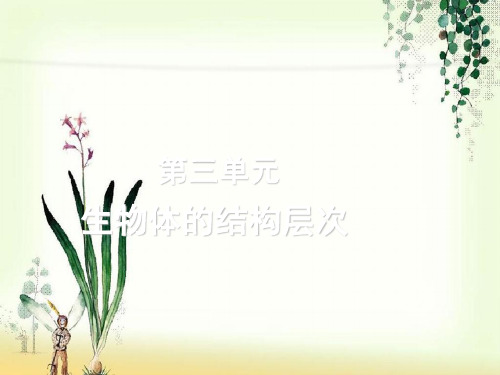 【一线精品】  中考生物复习第三单元：生物体的结构层次   最新优秀公开PPT课件