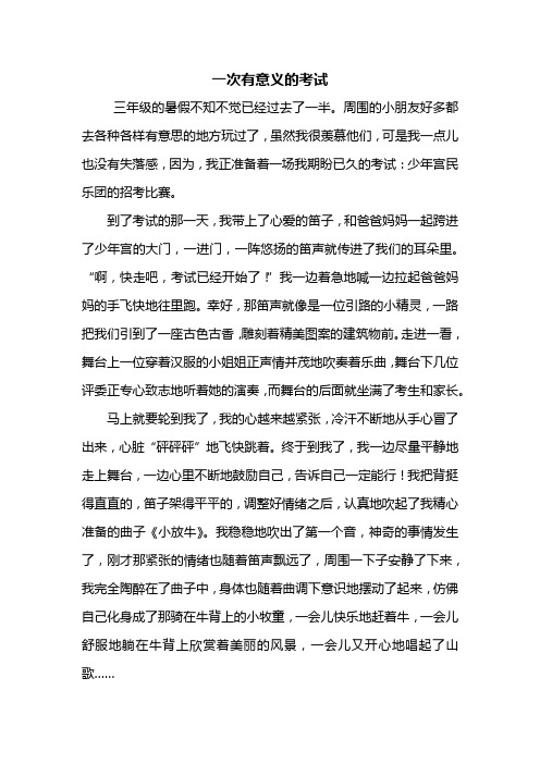 四年级作文：一次有意义的考试作文700字