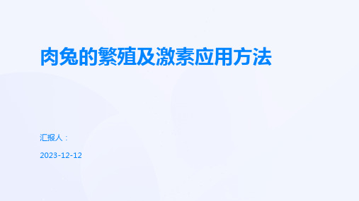 肉兔的繁殖及激素应用方法