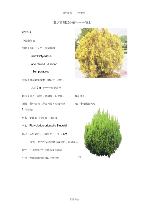 北方园林绿化常用植物-灌木