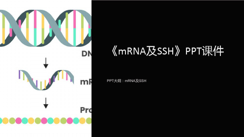 《mRNA及SSH》课件