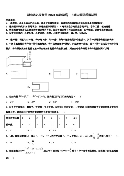 湖北省名校联盟2024年数学高三上期末调研模拟试题含解析