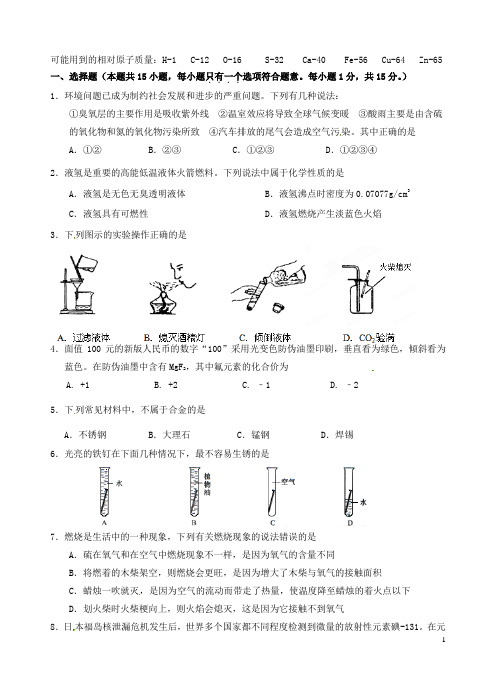 江苏省南京市溧水县2013届九年级化学上学期期末考试试题