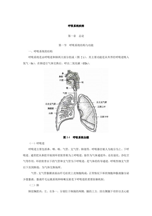 呼吸系统疾病-概述