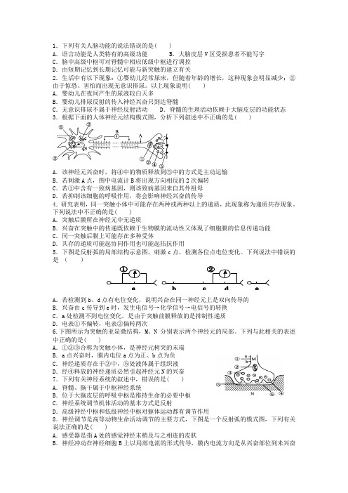 神经调节练习题(含答案)