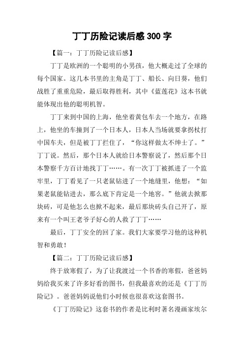 丁丁历险记读后感300字