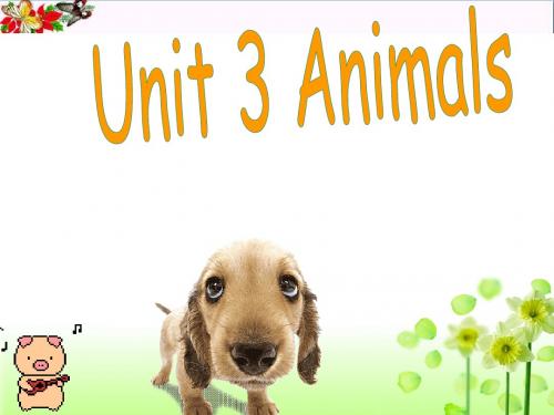 三年级英语上册Unit3Animals PPT精品课件3广东版开心