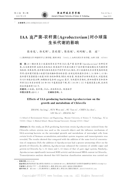 IAA 高产菌灢农杆菌(Agrobacterium)对小球藻生长代谢的影响