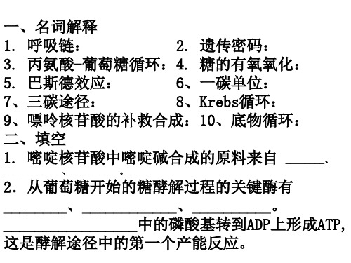 生物化学其中试卷2