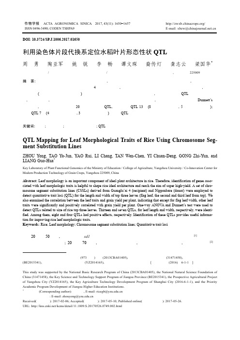 利用染色体片段代换系定位水稻叶片形态性状QTL