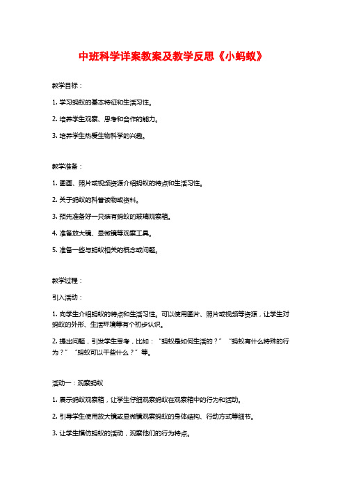 中班科学详案教案及教学反思《小蚂蚁》