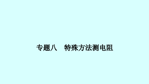 中考物理重难点强化专题八特殊方法测电阻