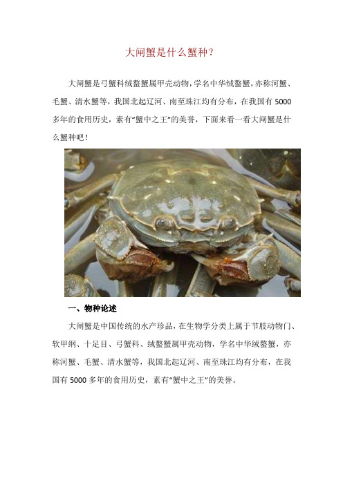 大闸蟹是什么蟹种？