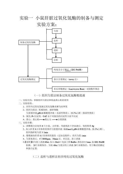 实验一 小鼠肝脏过氧化氢酶的制备与测定