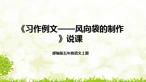 2022部编版小学五年级语文上册《习作例文——风向袋的制作》说课课件(含教学反思)