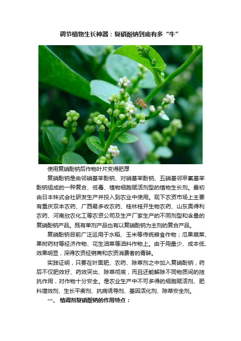 调节植物生长神器：复硝酚钠到底有多“牛”