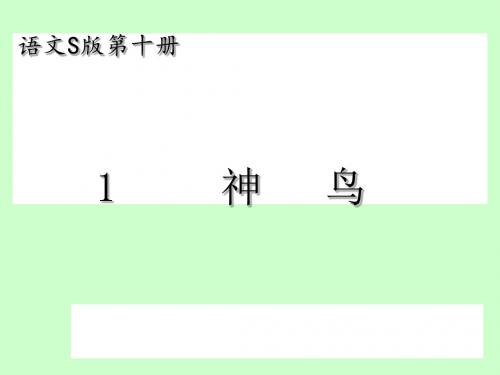 语文S版小学五年级下册1《神鸟》课件