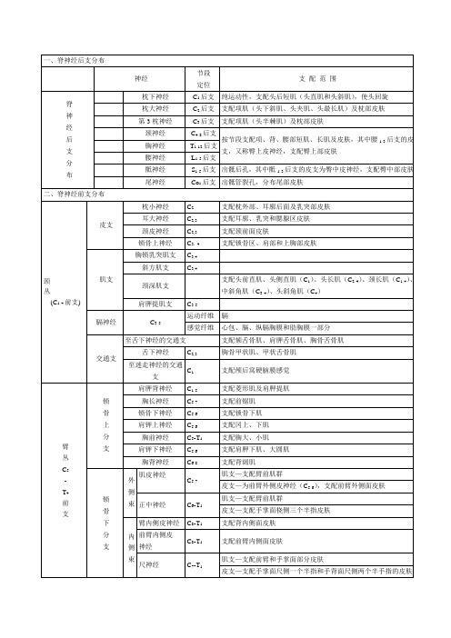 脊神经支配图