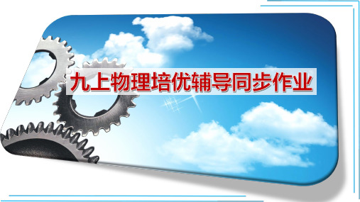 【人教九上物理同步作业】14章专题训练(一) 热量、热值和热效率的综合计算