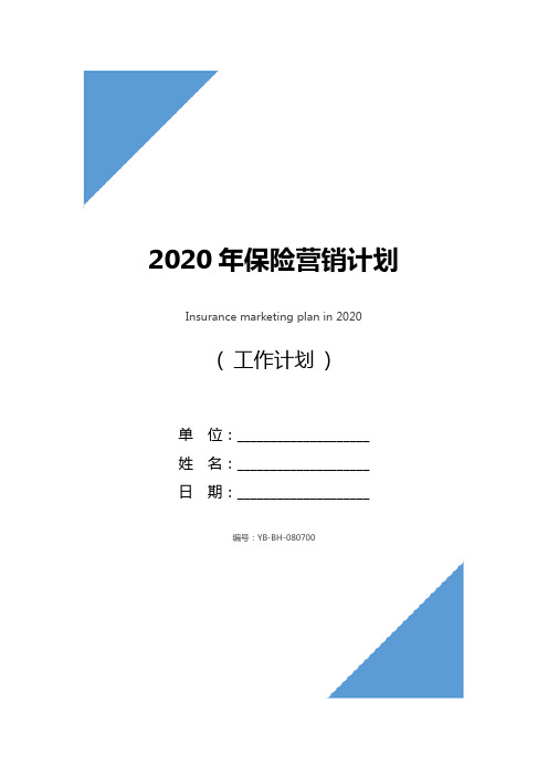 2020年保险营销计划