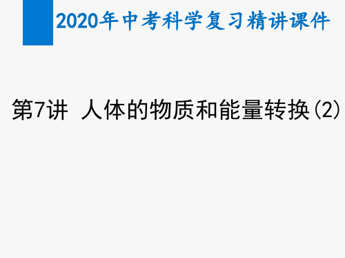 2020年中考科学复习精讲课件第7讲  人体的物质和能量转换(2)