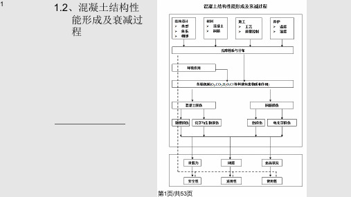 混凝土结构耐久性检测PPT课件