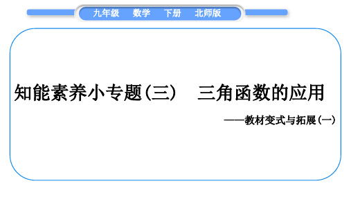 北师版九数下第一章直角三角形的边角关系知能素养小专题(三)三角函数的应用教材变式与拓展(一)习题课件