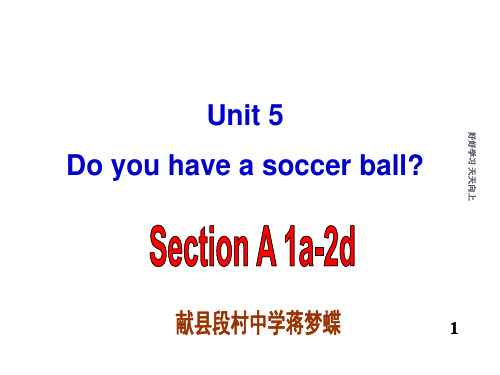 人教版(PEP义务教育版)初一英语七年级上册人教版  Do you have a soccer ba